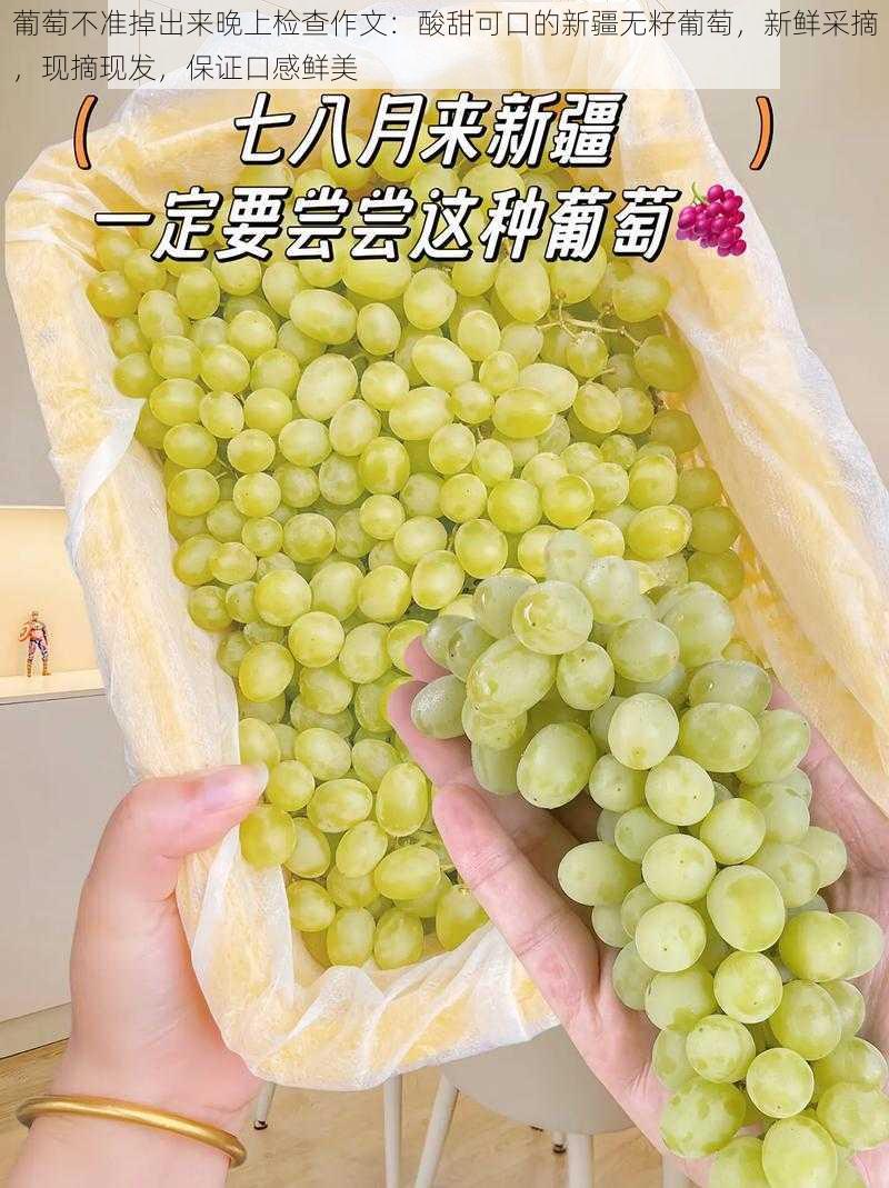 葡萄不准掉出来晚上检查作文：酸甜可口的新疆无籽葡萄，新鲜采摘，现摘现发，保证口感鲜美