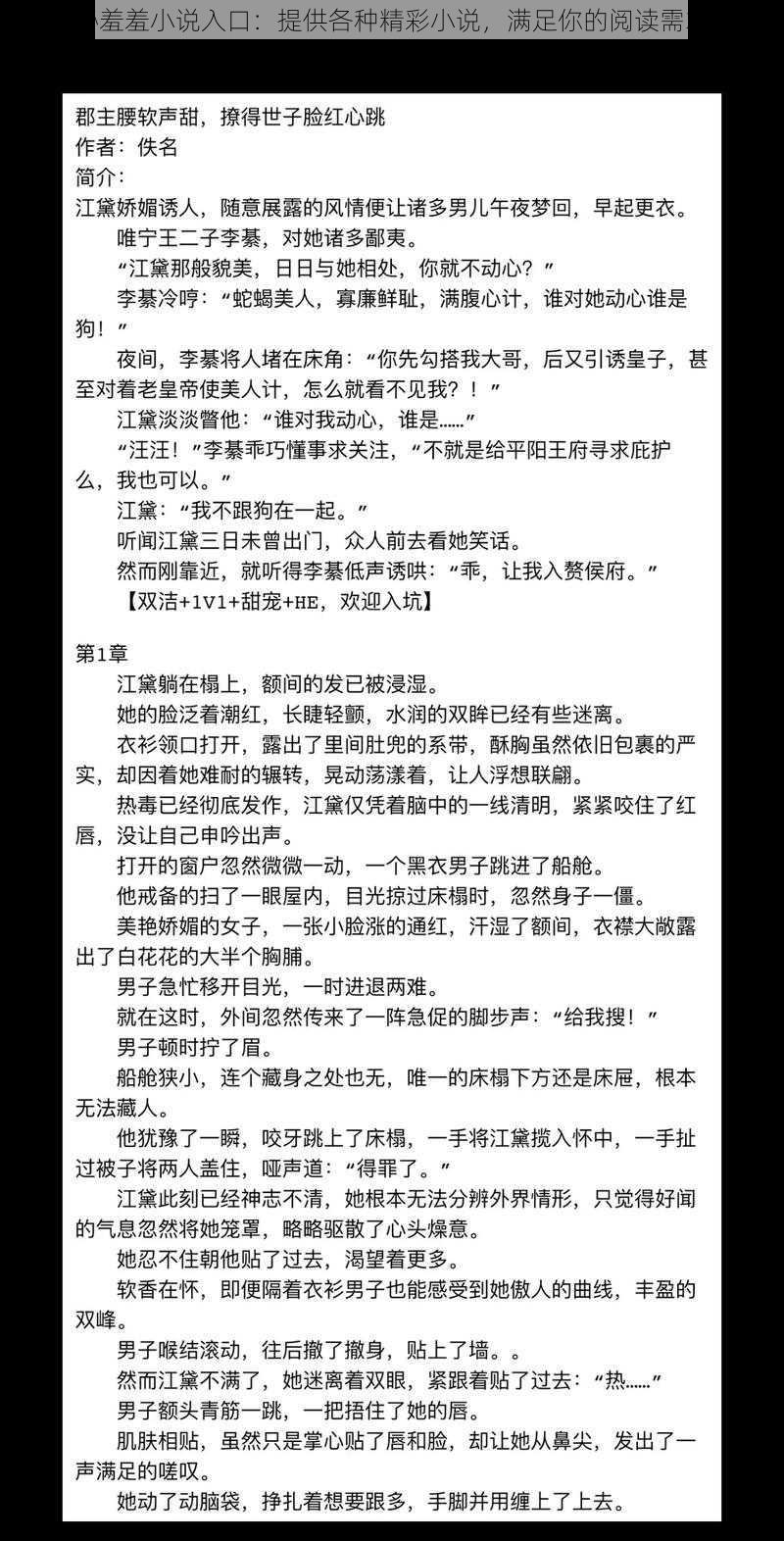 秘羞羞小说入口：提供各种精彩小说，满足你的阅读需求