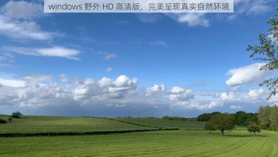 windows 野外 HD 高清版，完美呈现真实自然环境